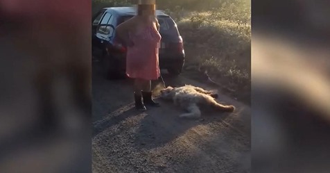 Frau schleift Hund hinter dem Auto zu Tode und zeigt sich uneinsichtig