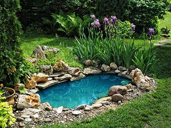 Beim Anblick von diesen Teichen möchten Sie sicherlich auch einen Teich im Garten haben.
