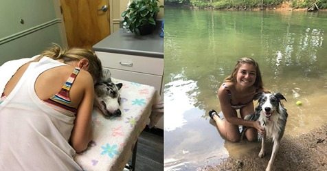 Tödliche Gefahr in See: Hund Ayra geht baden - kurze Zeit später ist er hirntot