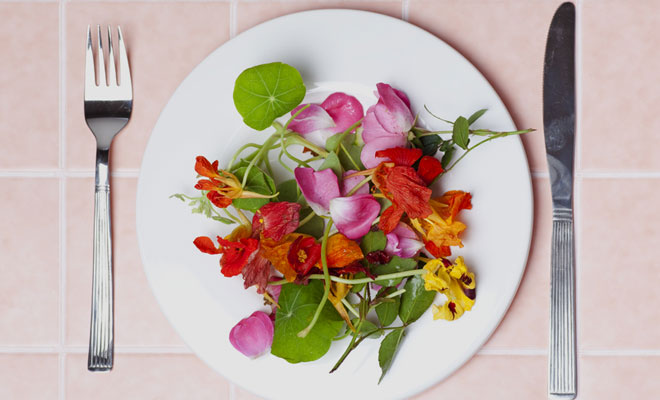 Da haben Sie den Salat: 5 leckere essbare Blüten mit Rezeptideen