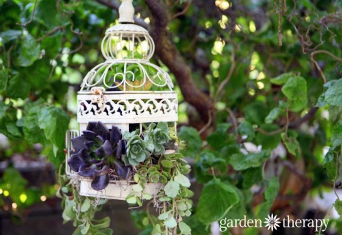 Verwenden Sie einen Vogelkäfig als Pflanzgefäß… 7 großartige Ideen für Ihren Garten!