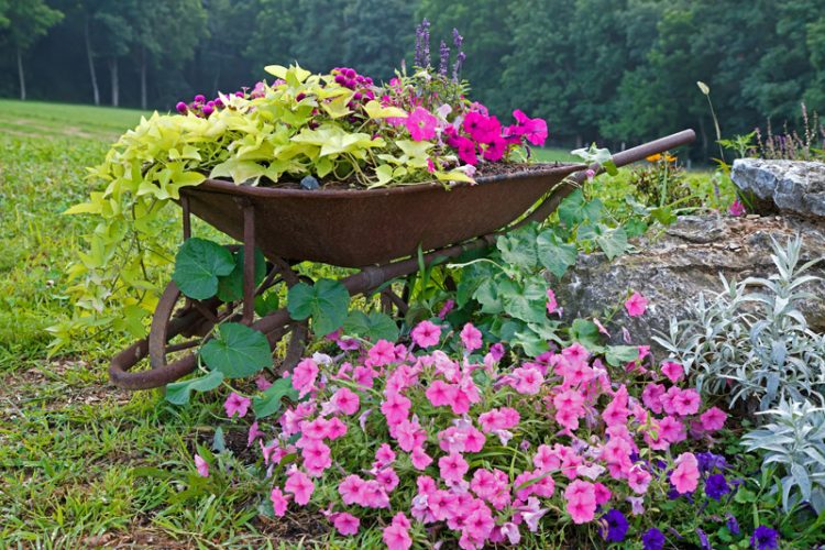 Verwandeln Sie Ihre (alte) Schubkarre zu einem Hingucker für den Garten! 14 wunderbare Beispiele!