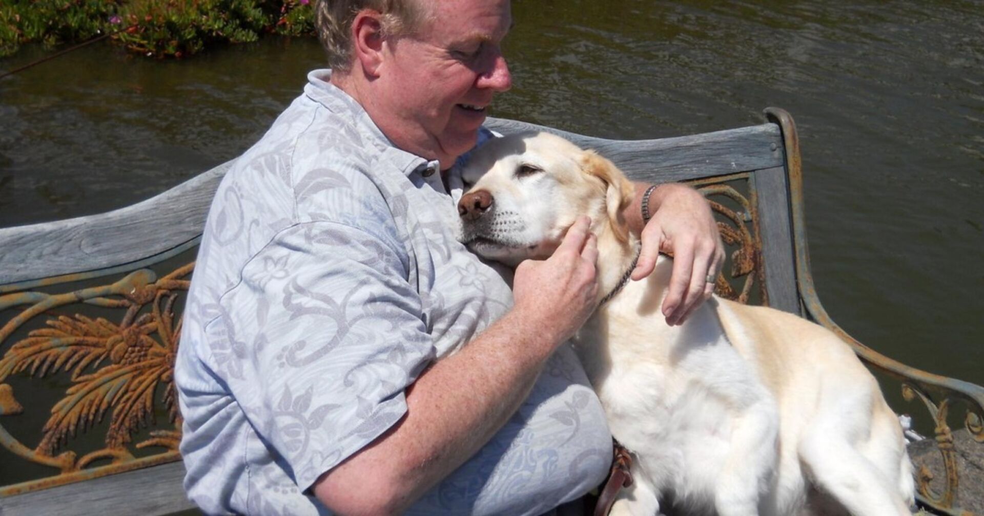 Drama um blinden Mann mit Labrador rührt die Welt zu Tränen!