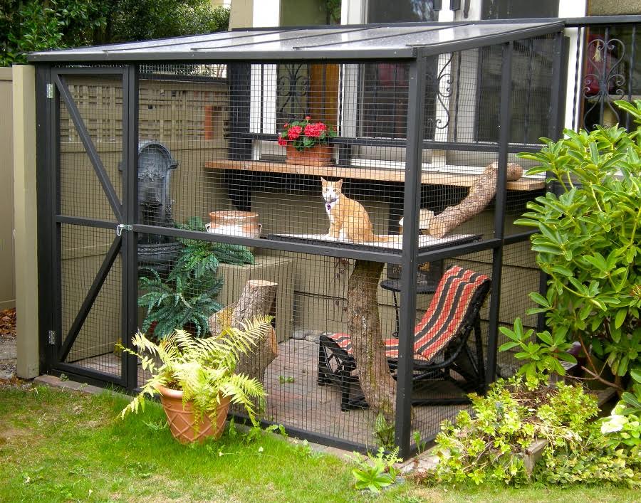 Immer mehr Leute sehen den Vorteil einer Unterkunft für Katzen im Garten.., wir zeigen Dir originelle Ideen!