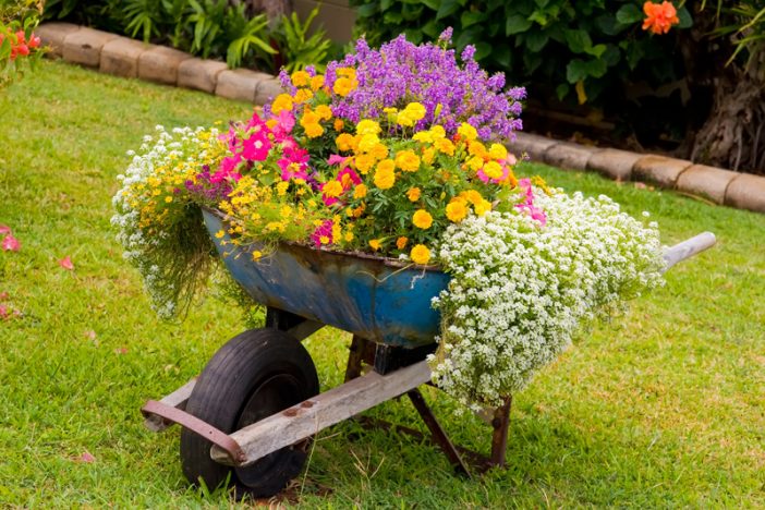 Stellen Sie die alte Schubkarre nicht beim Müll, aber füllen Sie sie mit Pflanzen und Blumen! Schauen Sie sich die schönsten Beispiele hier an!