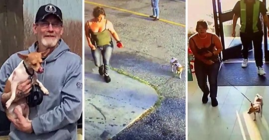 Fremde eilen kollabiertem Mann zu Hilfe, währen eine Frau mit seinem Hund wegläuft