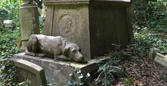 Friedhof plant gemeinsame Gräber für Mensch und Tier
