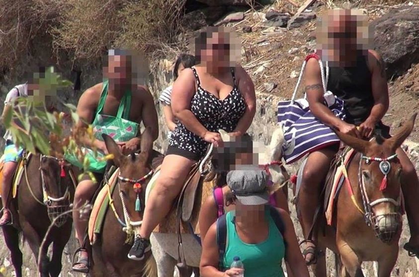 Griechische Insel verbiete übergewichtigen Touristen auf Eseln zu reiten