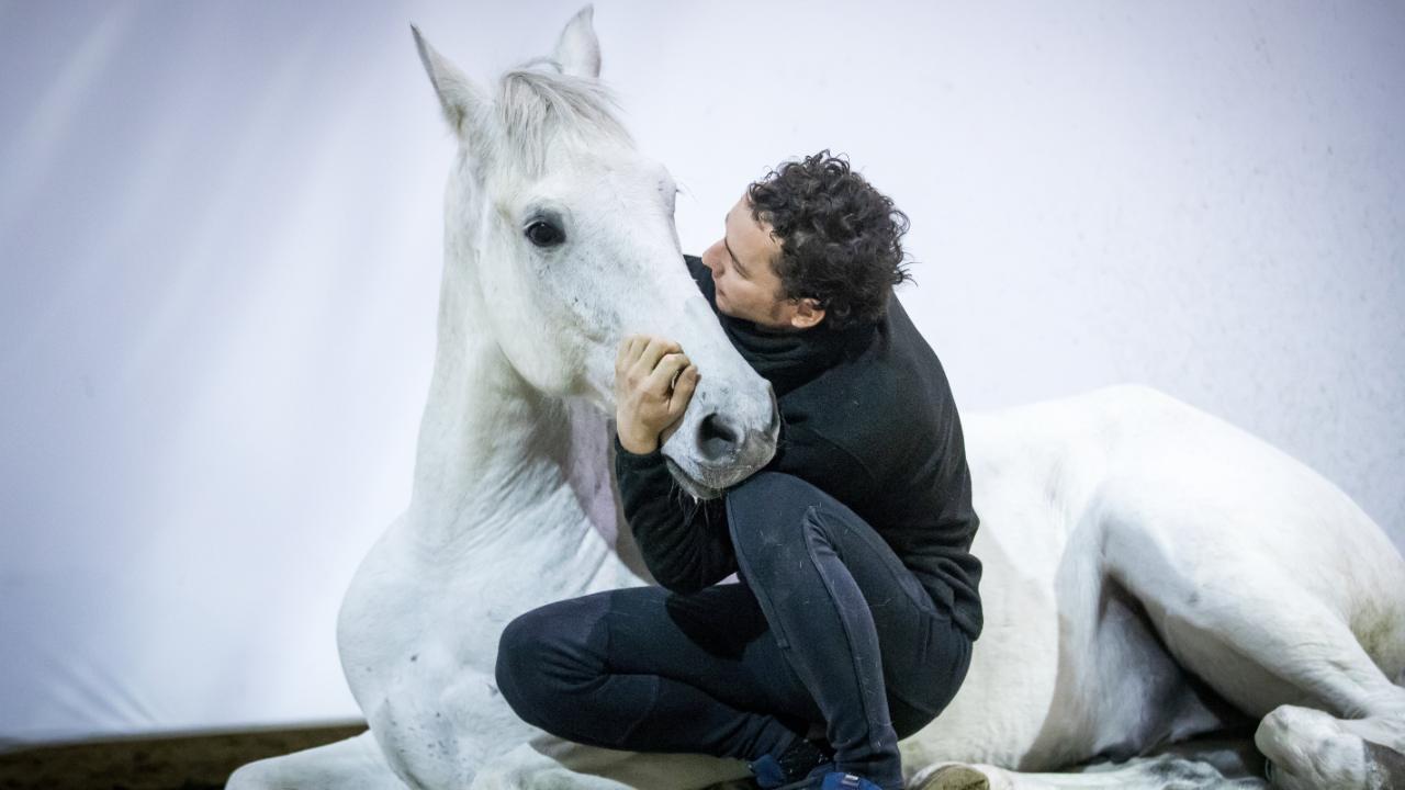 Schimmel Curioso gerettet: Pferd sollte zu Wurst verarbeitet werden