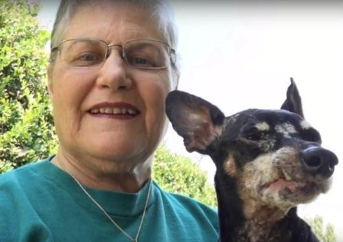 Frau fragt im Tierheim nach dem ältesten und schwierigsten Hund und nimmt ihn schließlich mit nach Hause