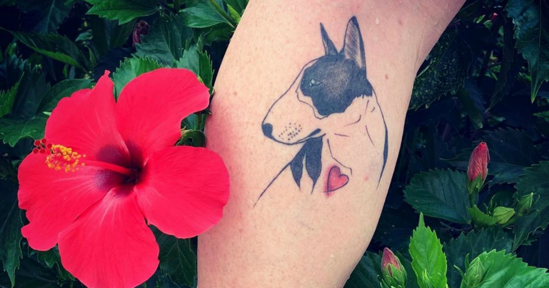 Die schönsten Bullterrier-Tattoos auf Instagram