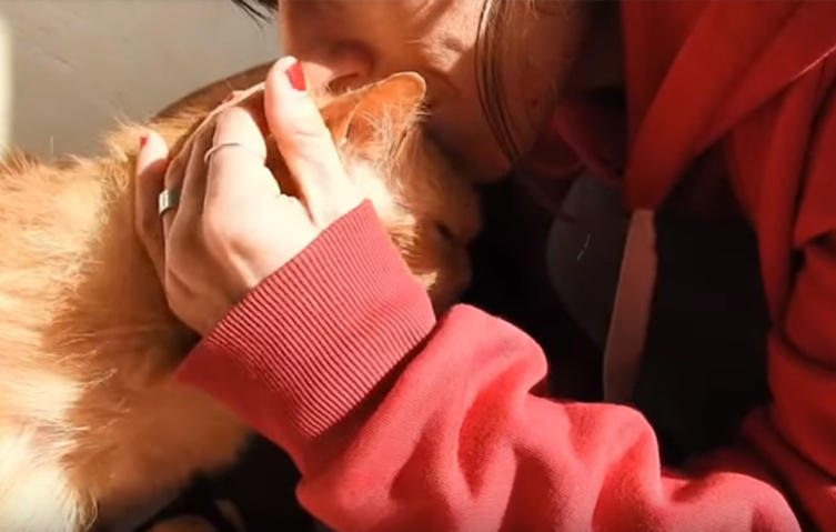 VIDEO: Diese Katze wurde ihren Besitzern zu alt - doch dank einer Helferin lebt sie wieder auf!