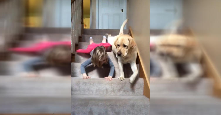 Mädchen vs Hund: Wer rutscht schneller die Treppe herunter?