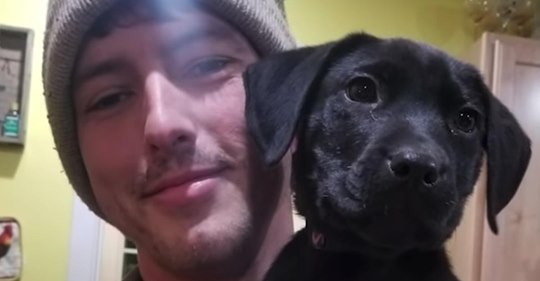 Tauber Mann adoptierte einen tauben Hund und bringt ihm Befehle in Zeichensprache bei