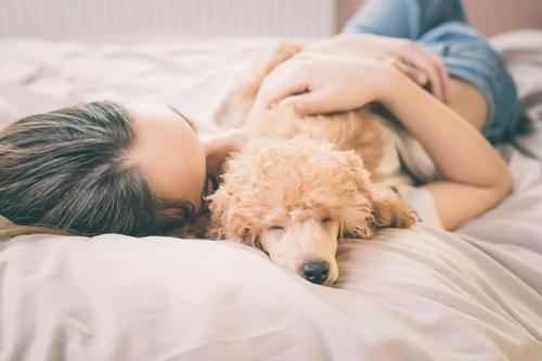 Frauen schlafen besser mit ihrem Hund an ihrer Seite als mit ihrem Partner
