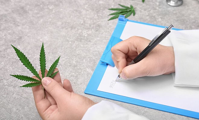 Medizinisches Cannabis – wem hilft es wirklich?