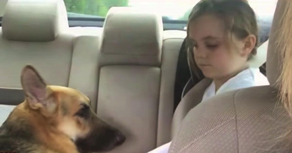 Vater erschreckt sich, als Hund auf seine Tochter zuspringt, findet später jedoch heraus, dass er sich für sie opferte
