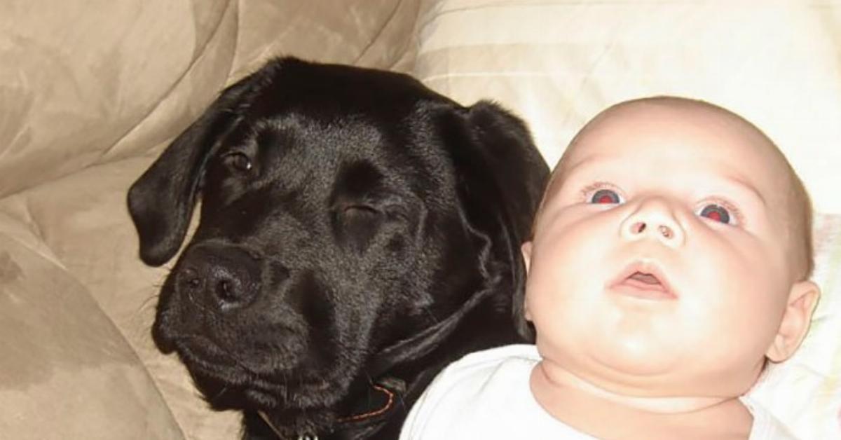 Hund und Kind auch nach 10 Jahren unzertrennlich.