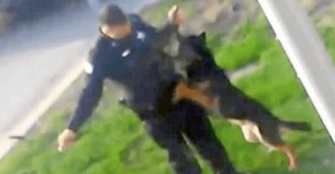 Grausamer Vorfall nach Einsatz: So dankt ein Polizist seinem Hund für die Hilfe