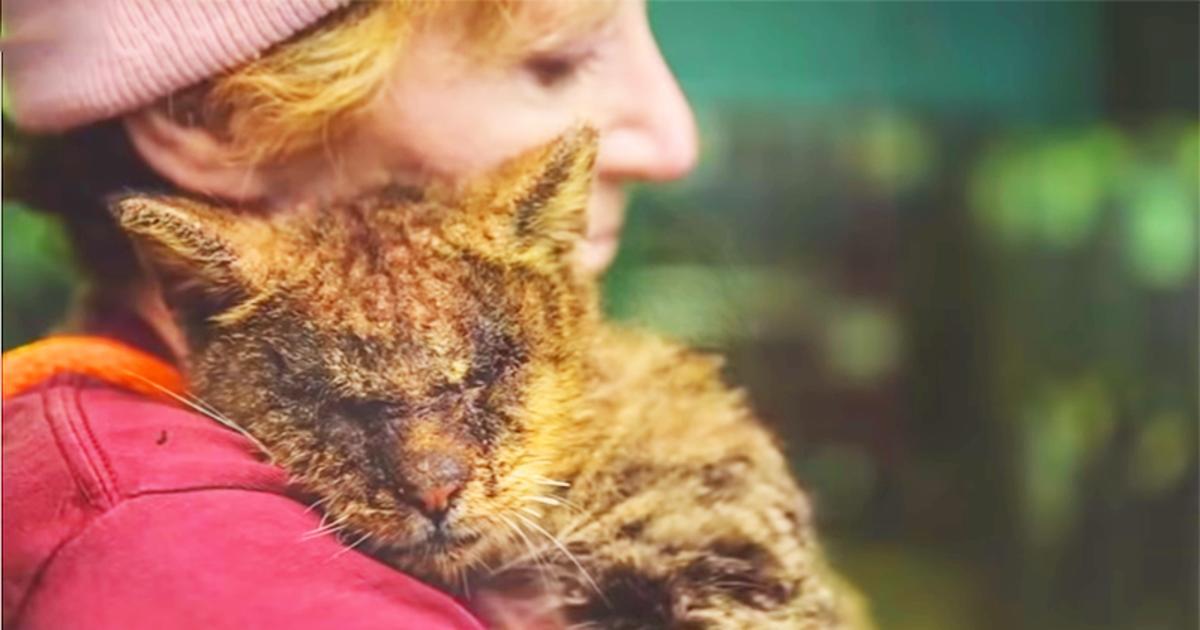 Frau kuschelt mit Katze, die niemand anfassen wollte, das Kätzchen war begeistert, also dankte es ihr mit dem schönsten Miau