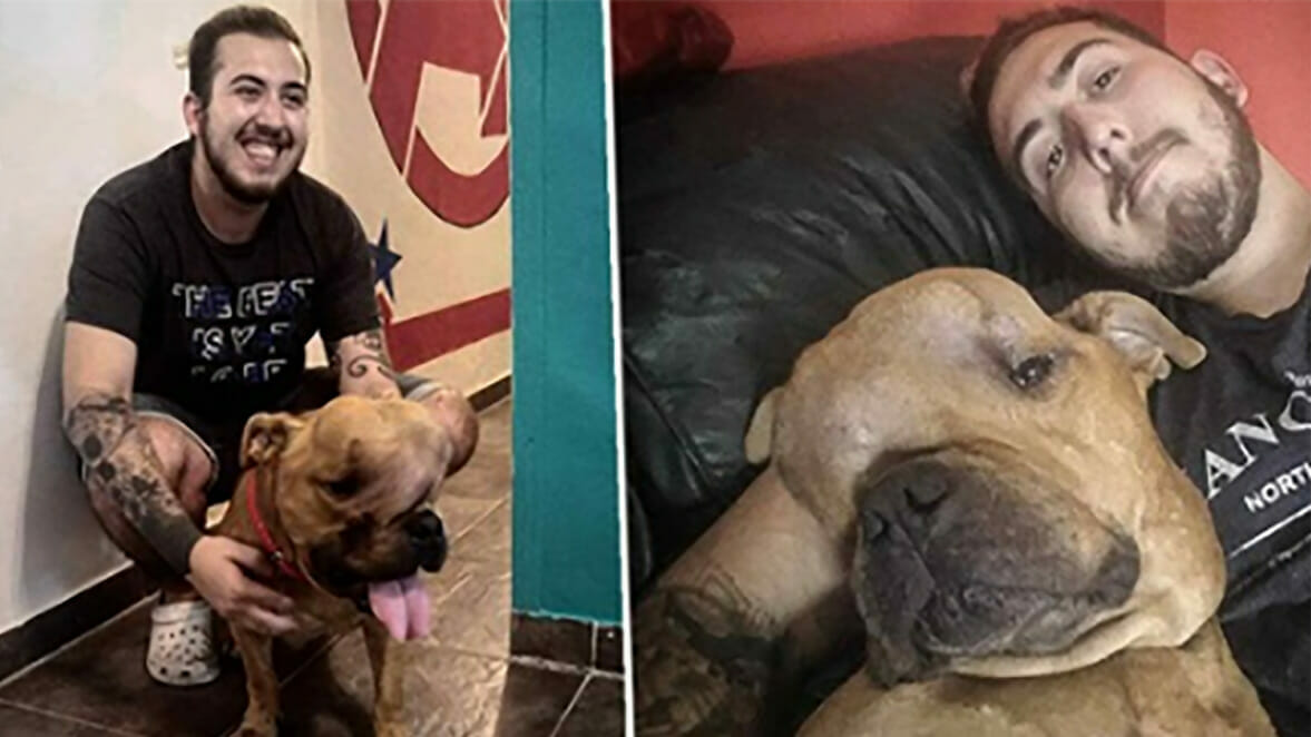 Hund mit Krebs im Endstadium wird von 4 Familien abgelehnt – ein junger Mann schenkt ihm ein Zuhause