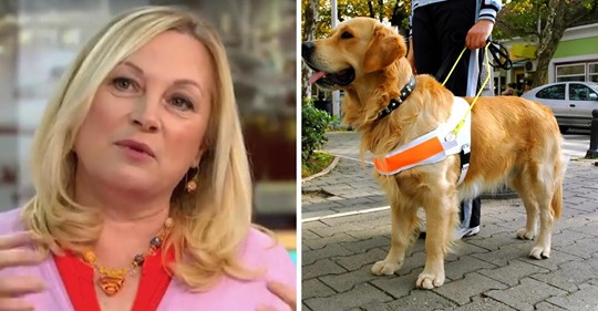 Frau bezeichnet Blindenhunde als unethisch und hat eine große öffentliche Gegenreaktion ausgelöst