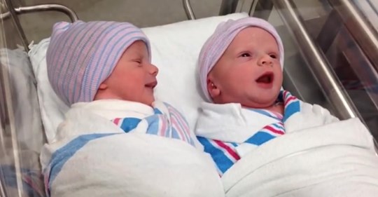 Neugeborene Zwillinge fangen bereits in dem Kinderbett im Krankenhaus an sich miteinander zu unterhalten