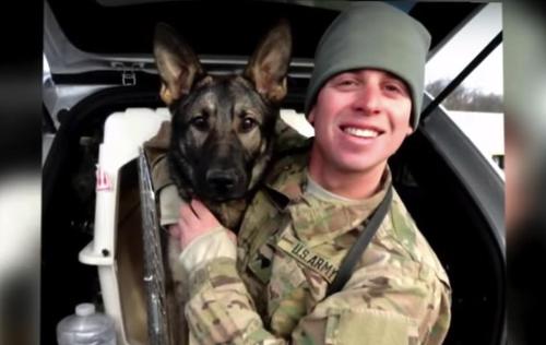 Hund rührt Reisende am US Flughafen zu Tränen, als ein Hund bei einem emotionalen Treffen auf einen Soldaten zustürmt