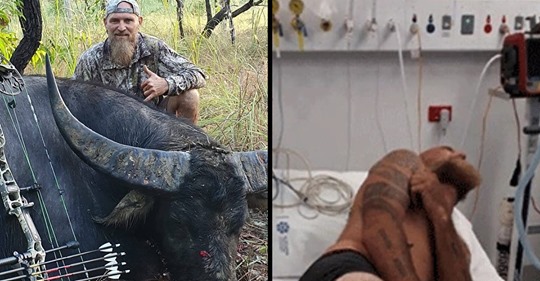 Sterbender Büffel fügt Jäger schwere Verletzungen zu