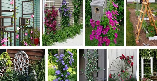 Schöne und inspirierende DIY Beispiele: Mit einem Gitter in Ihrem Garten schaffen Sie eine zusätzliche Dimension.