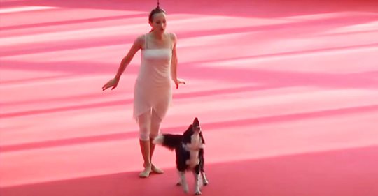 Der leidenschaftliche Tanz von Frau und Hund findet die Anerkennung des Internets