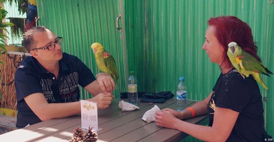 Ein ungewöhnliches Café: Hauptattraktion sind Papageien
