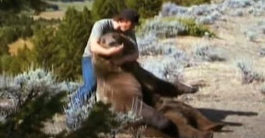 Mann zieht Grizzlybär auf, um sein enger Freund zu werden