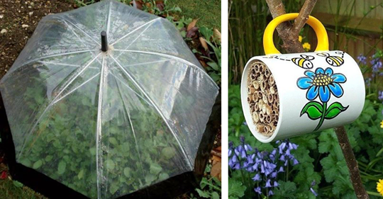 Blühendes Upcycling: 14 Deko-Ideen für den Garten