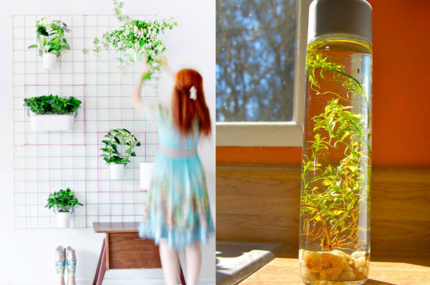 17 clevere Wege, einen Garten auf kleinem Raum anzulegen