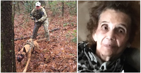 Polizeihund spürt vermisste 90-Jährige auf: Demente Seniorin in Wald gefunden