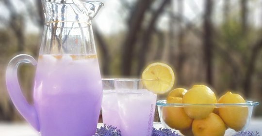 Kennen Sie bereits Lavendel-Limonade …? Dies hilft bei Schlaflosigkeit und Kopfschmerzen.