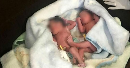 Frau meint, Welpen im Busch weinen zu hören – Findet einsame neugeborene Zwillingsschwestern