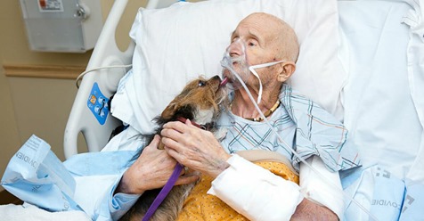 Todkranker Veteran bekommt in Hospiz letzten Wunsch erfüllt: Seinen Hund ein letztes Mal sehen
