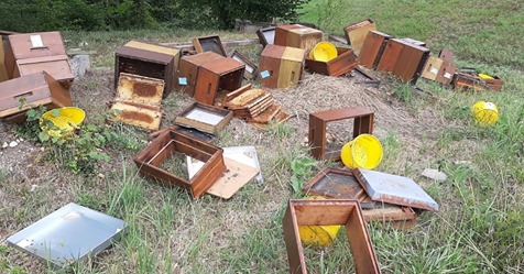 Stände mit 18 Völkern zerstört - Unbekannte verursachen Tod Tausender Bienen