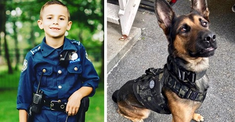 Junge (10) möchte Polizeihunden helfen, da sie keine kugelsicheren Westen tragen – sammelt mehr als 260.00 Euro