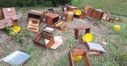 Unbekannte zerstören 18 Bienenvölker & töten tausende Bienen: Polizei bittet um Hilfe