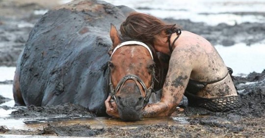 Drei Stunden hält eine verzweifelte Frau ihr Pferd fest, damit es nicht im Schlamm ertrinkt – gemeinsam retten sie es