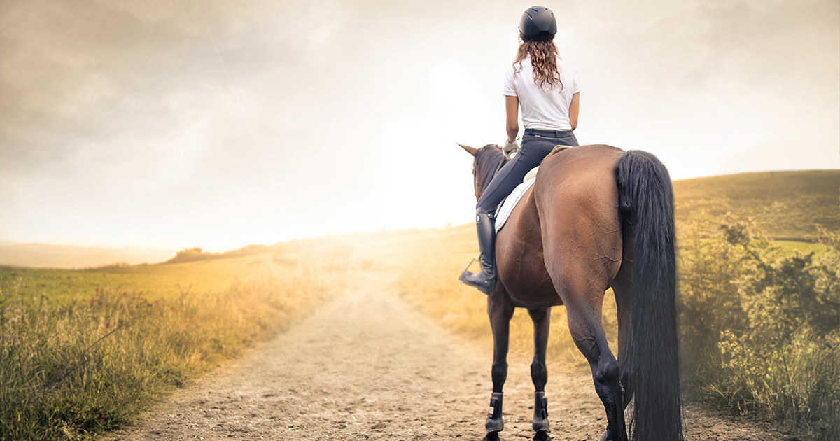 Schleswig-Holstein: Mann greift Mädchen (16) an Oberschenkel und hält sie fest – Pferd beißt ihm in den Arm