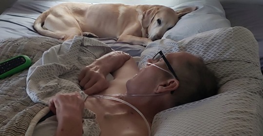 Mann und sein Hund sterben nur wenige Stunden nacheinander