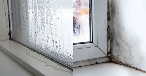 Kondenswasser am Fenster: 5 Ursachen