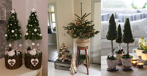 Warum solch einen großen Weihnachtsbaum zu Hause aufstellen? Diese 10 kleinen Weihnachtsbäumchen sind so niedlich!