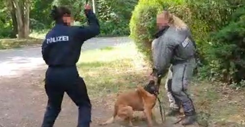 DIENSTHUNDE-AFFÄRE Polizeichef verbietet Prügel-Ausbildung