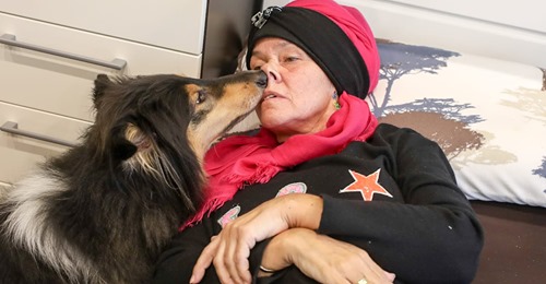BEI EINEM ANFALL RETTEN SIE DAS LEBEN VON EPILEPTIKERIN FILIZ (51) Meine Collies können Hund-zu-Nase-Beatmung