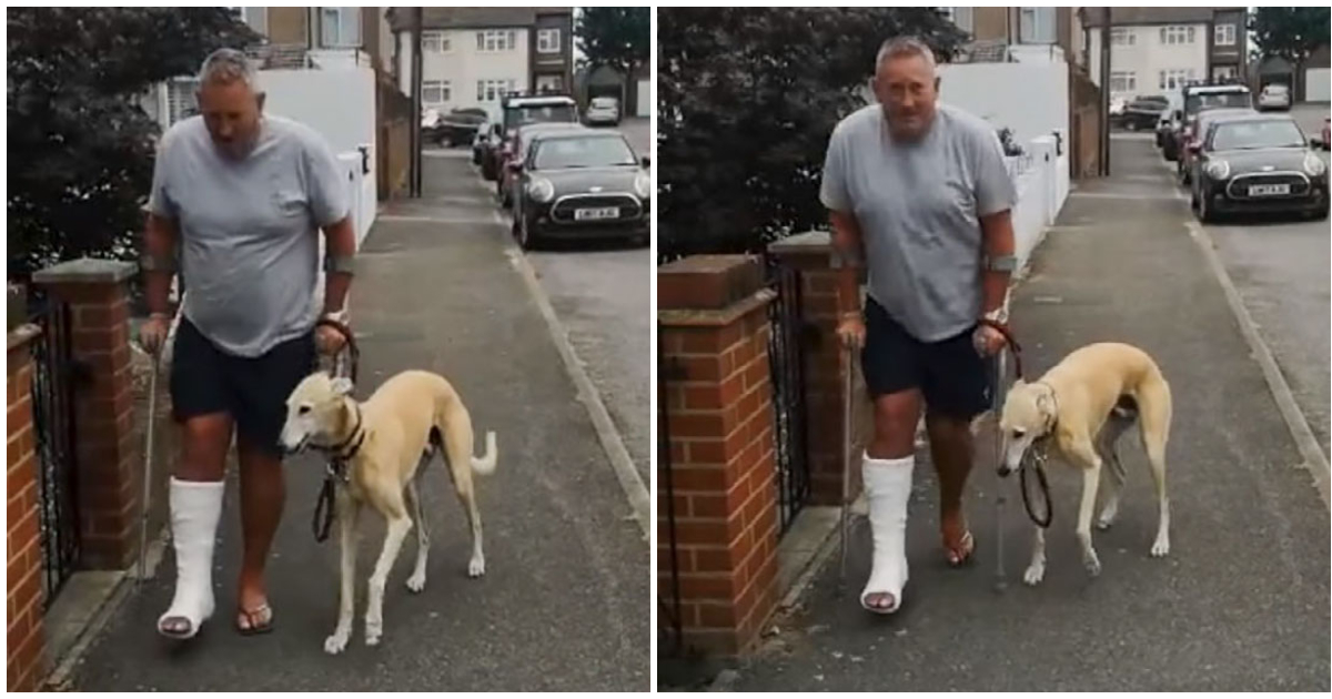Mann bringt humpelnden Hund zum Tierarzt: „Billy“ ahmte Herrchen aus Mitleid nach